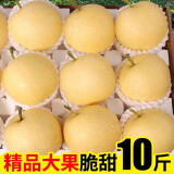 尔蝶新鲜皇冠梨10斤现摘当季水果河北皇冠梨脆甜多汁皮薄超甜脆梨 皇冠梨3斤装