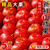 柏馋山楂果新鲜山楂鲜果大金星冰糖葫芦红果孕妇水果酸甜 1斤尝鲜装