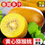 柏馋四川蒲江黄心猕猴桃黄金奇异果当季孕妇新鲜甜弥猴桃礼盒水果 6粒尝鲜装【50-70g】